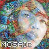 terri-lyne-carrington-the-mosaic-project.jpg