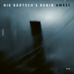 nik-bartschs-ronin-awase.JPG