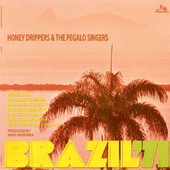 honey-drippers-the-pegalo-singers-brazil-71.jpg