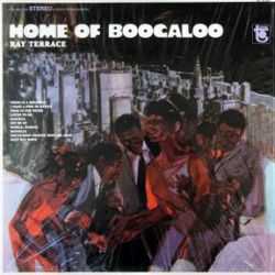 ray-terrace-home-of-boogaloo.jpg